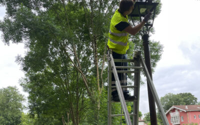 Mejora de la Iluminación en Pámanes para Mayor Eficiencia Energética y Seguridad